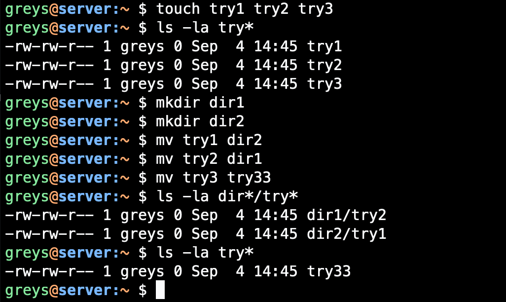 mv command