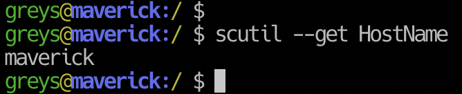 scutil command