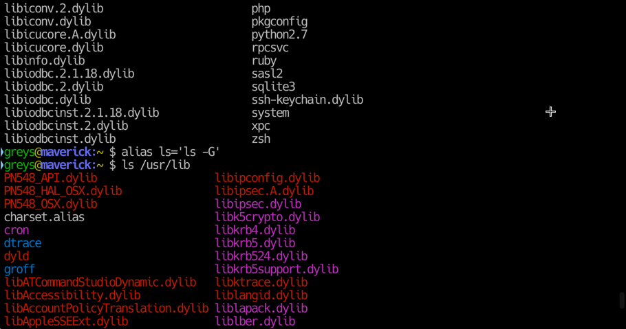 Using ls alias with additional options