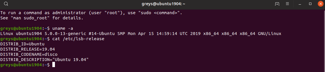 Ubuntu 19.04 Kernel Version