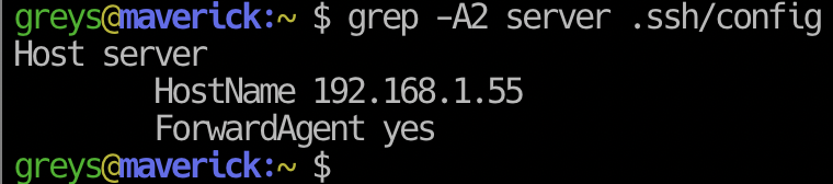 Showing next few lines with grep