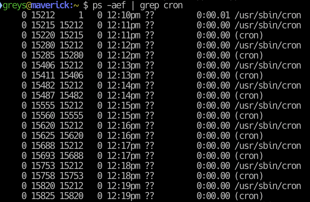 cron processes piling up in macOS Catalina