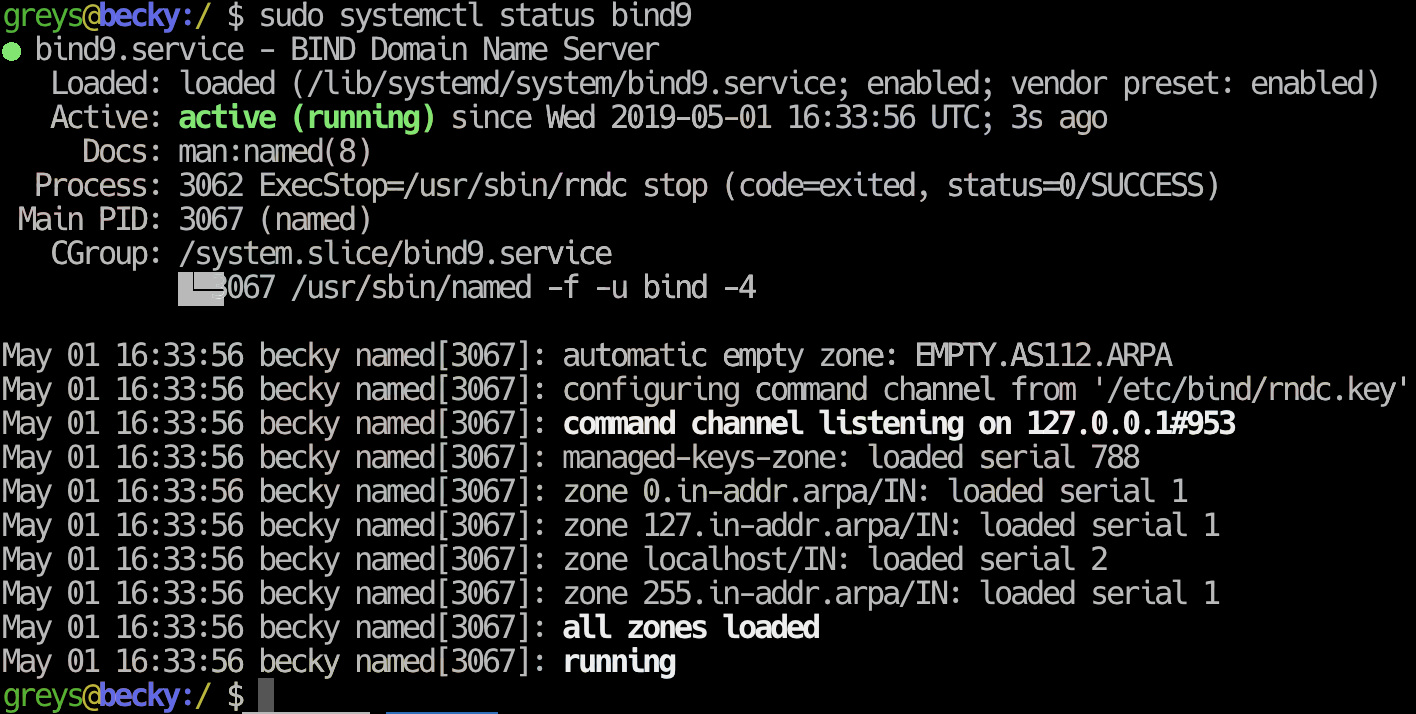 BIND9 named IPv4 only