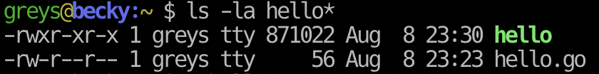 ls output showing executable file