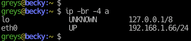 ip command showing IPv4 addresses