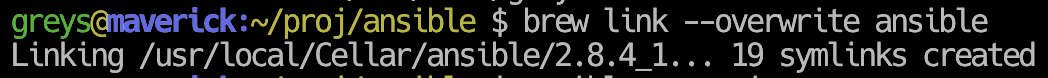 Overwriting Links for Homebrew Package