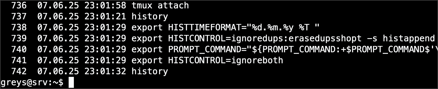 Bash history with timestamps