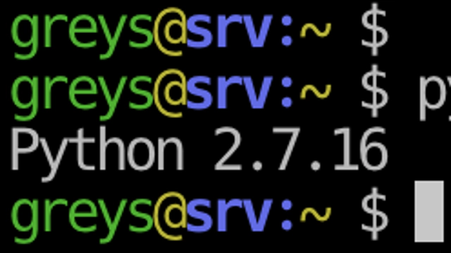 Check Python Version