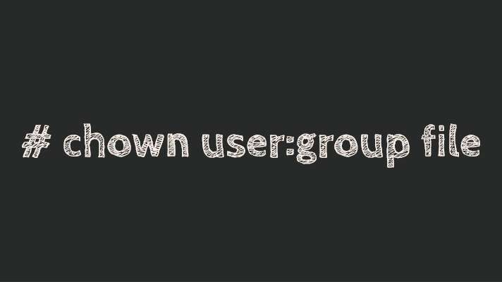 chown user:group example