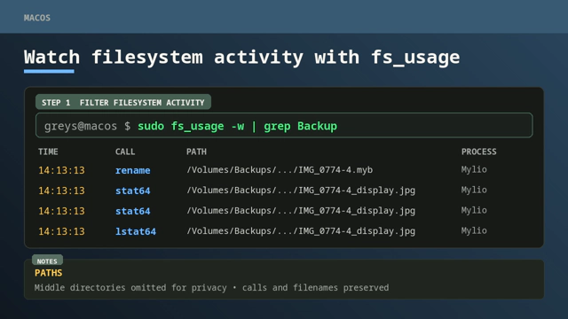 The macOS fs_usage command showing filtered filesystem activity