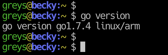 rpi-update command