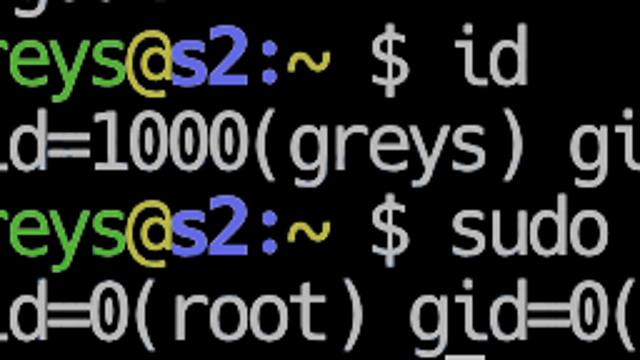sudo command example