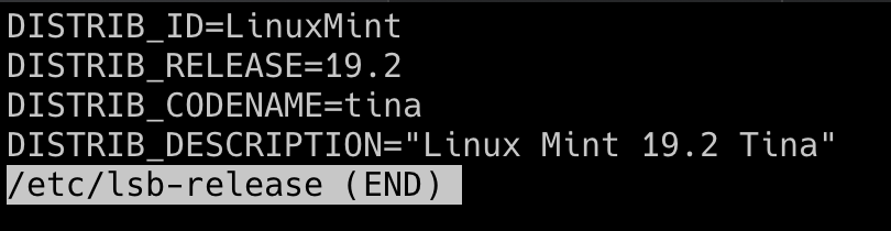 less command showing /etc/lsb-release file