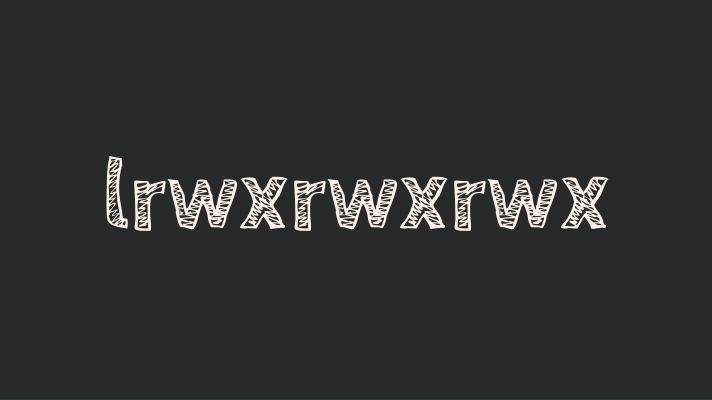 lrwxrwxrwx permissions