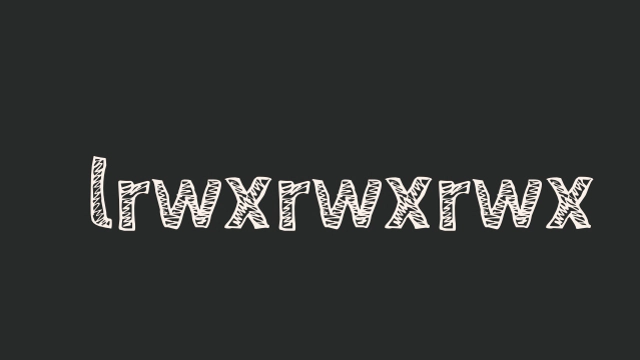 lrwxrwxrwx permissions