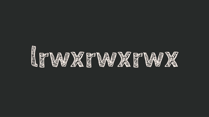 lrwxrwxrwx permissions