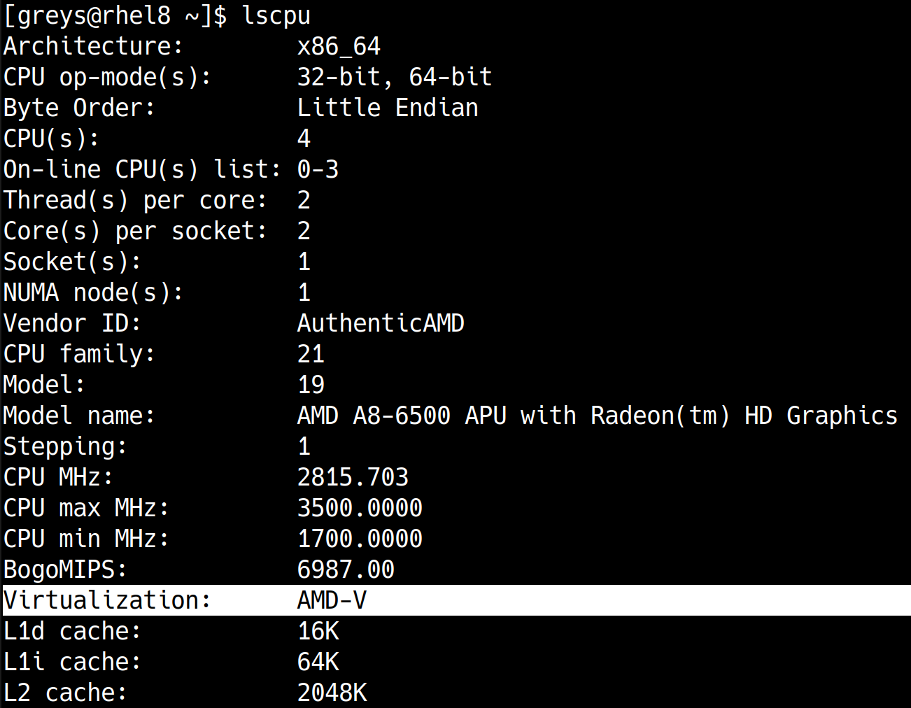 lscpu - hardware virtualization