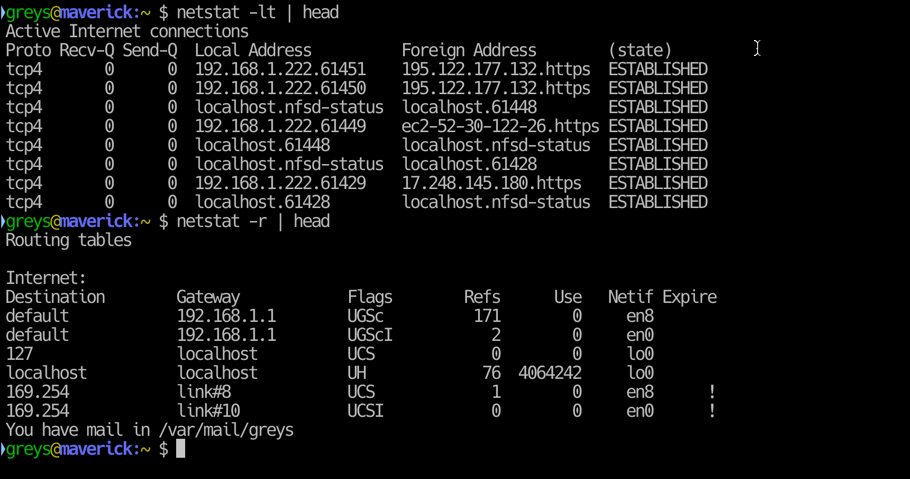 netstat in macOS