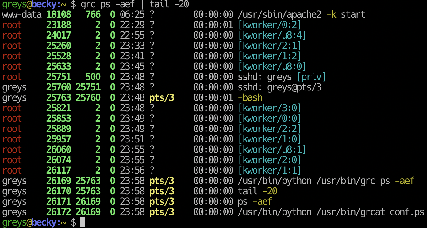 ps output with colorized syntax