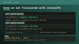 A Linux filesystem growing from 20GB to 40GB with growpart and resize2fs