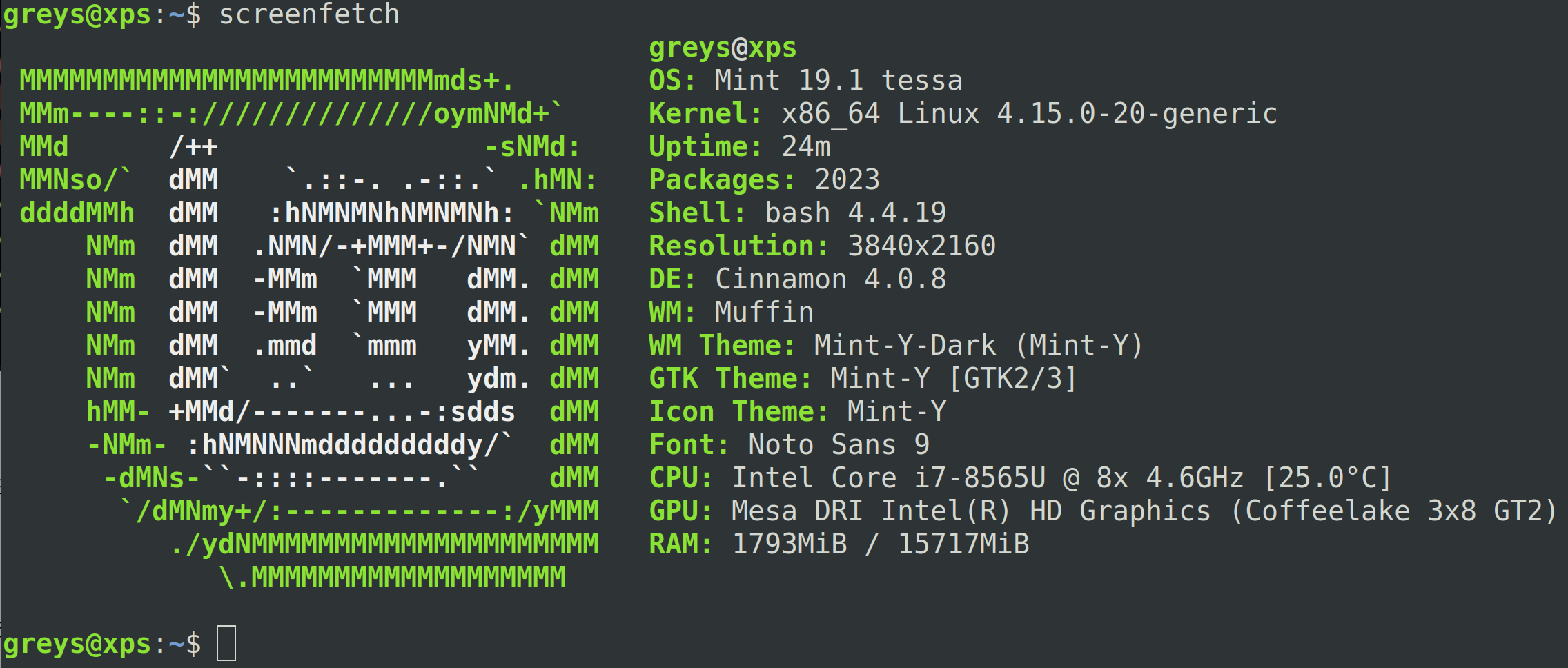 screenfetch-linux-mint-19-1-xps-2