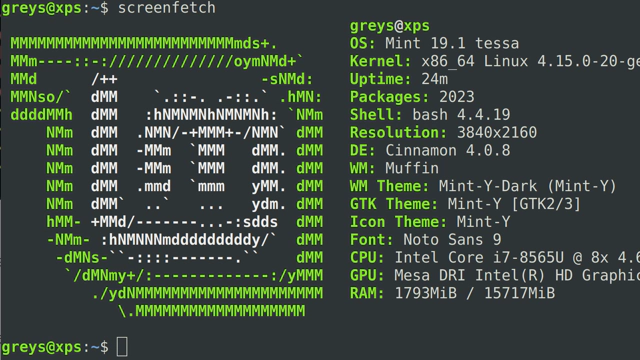 screenfetch-linux-mint-19-1-xps