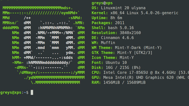 Linux Mint 20