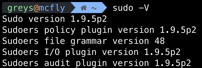 sudo CVE-2021-3156
