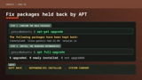 APT showing held-back Ubuntu packages followed by apt full-upgrade resolving them