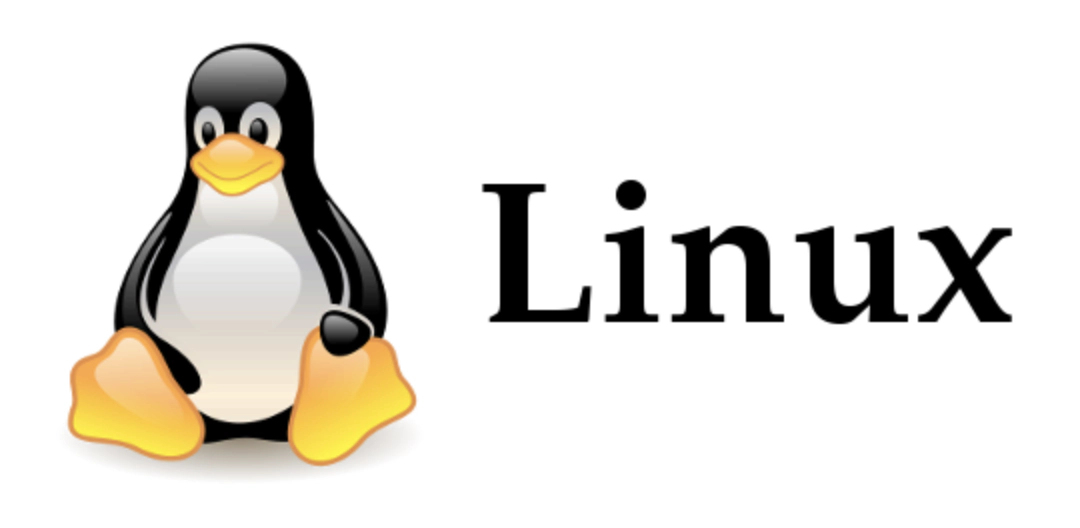 Linux Kernel
